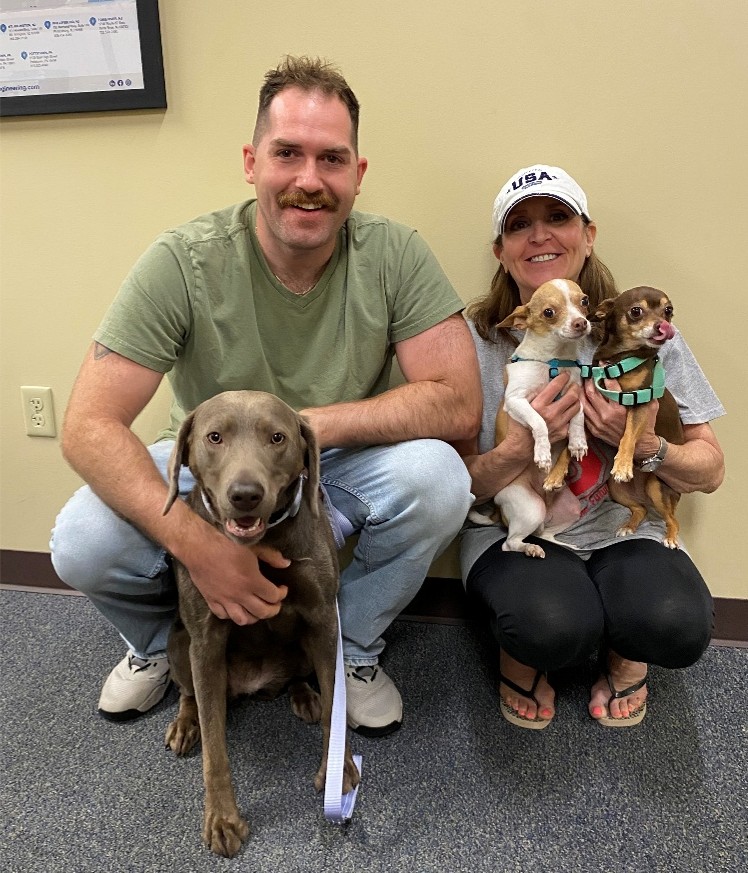 Man and woman crouch in a beige room with three dogs: a large gray dog in front and two small chihuahua mixes in the woman's arms, all facing the camera.